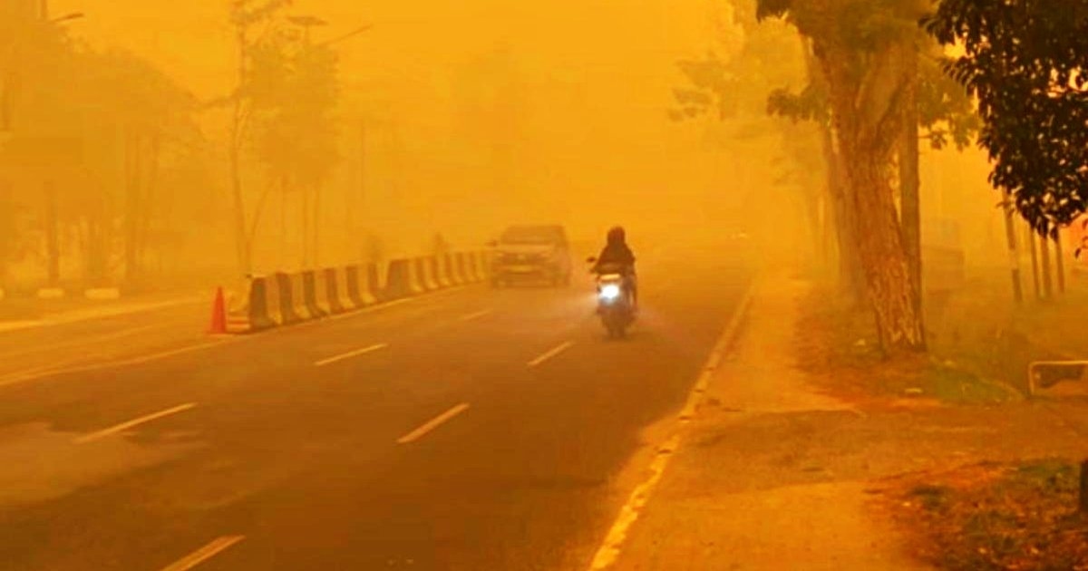 Ngeri di Jalan Raya! Asap Karhutla Bikin Jarak Pandang Hilang, Ini yang Harus Dilakukan