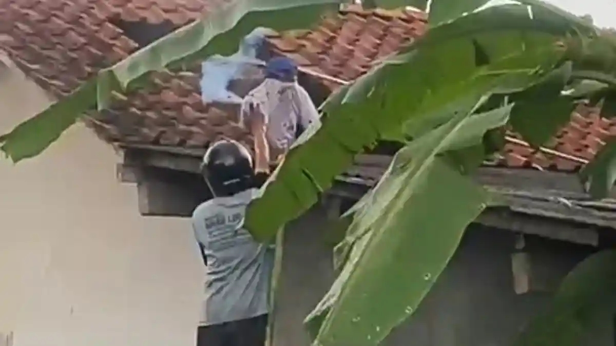 Sengatan Tawon Vespa Berujung Maut, Pria di Cilacap Tewas usai Niat Bersihkan Toren