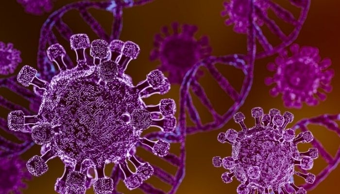 Hantavirus Terdeteksi di RI, Kemenkes Sebut Gejalanya Mirip DBD dan Tifus 