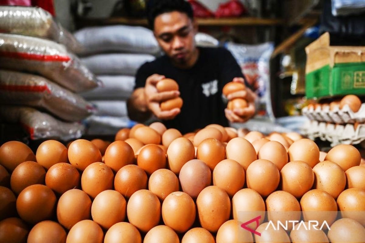 Prediksi Harga Telur Senin 25 Mei 2026 di Kota Tangerang: Emak-Emak Siap-Siap Buka Dompet?