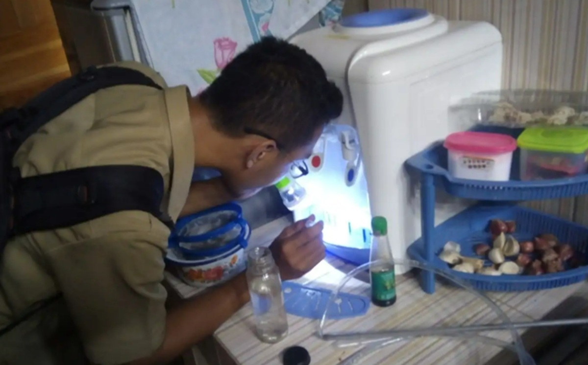 Terbongkar Faktor Pemicu DBD di Perkotaan, Ternyata Bukan Cuma Nyamuk