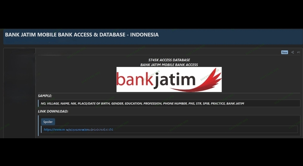 Heboh! Dugaan 5,7 Juta Data Pribadi Nasabah Bocor di Dark Web, Begini Respons Bank Jatim