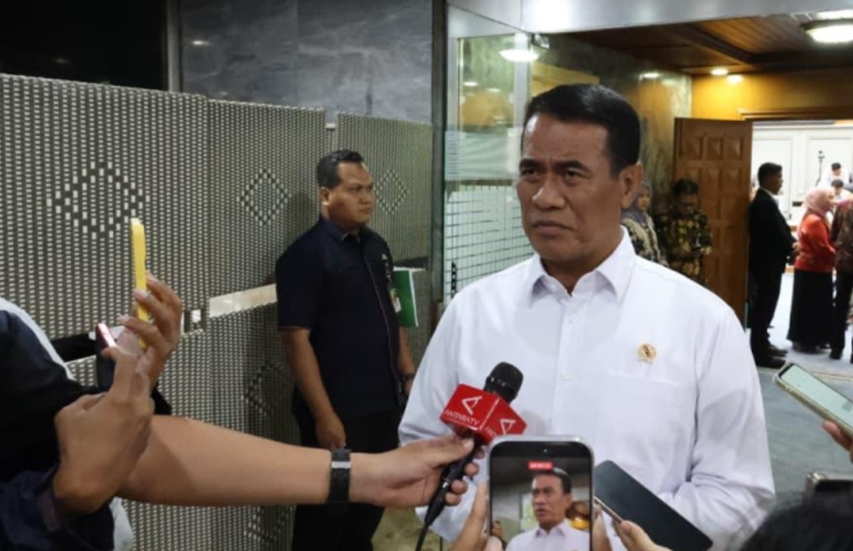 8 Komoditas Sudah Swasembada, Kementan Kini Bidik Bawang Putih dan Hortikultura pada 2027