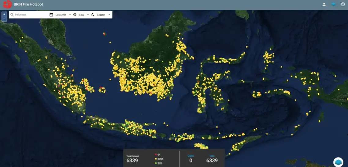 BRIN Ungkap Cara Satelit Deteksi Karhutla di Indonesia Hanya dalam 30 Menit, Begini Sistemnya