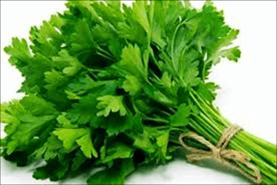 Daun Seledri untuk Terapi Cuci Ginjal, Manjurkah? Simak 8 Manfaatnya bagi Kesehatan