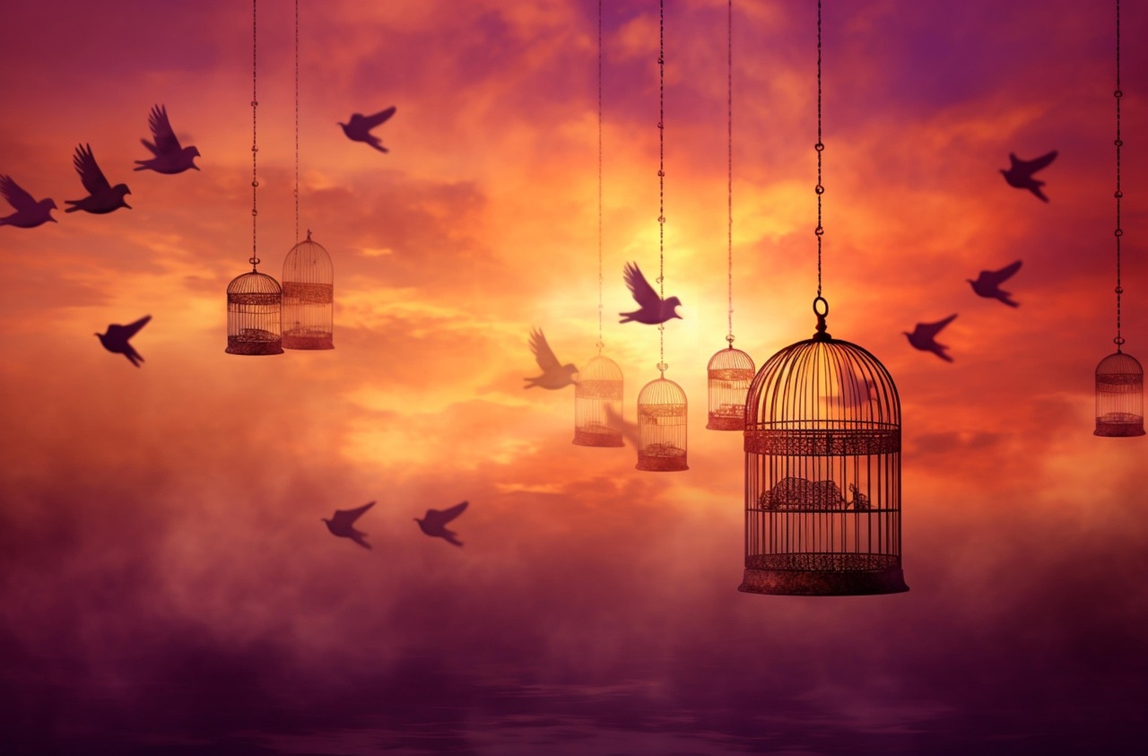 Punya Burung Besar Atau Burung Kecil, Wajib Perhatikan Bentuk Dan Karakter Kandangnya!