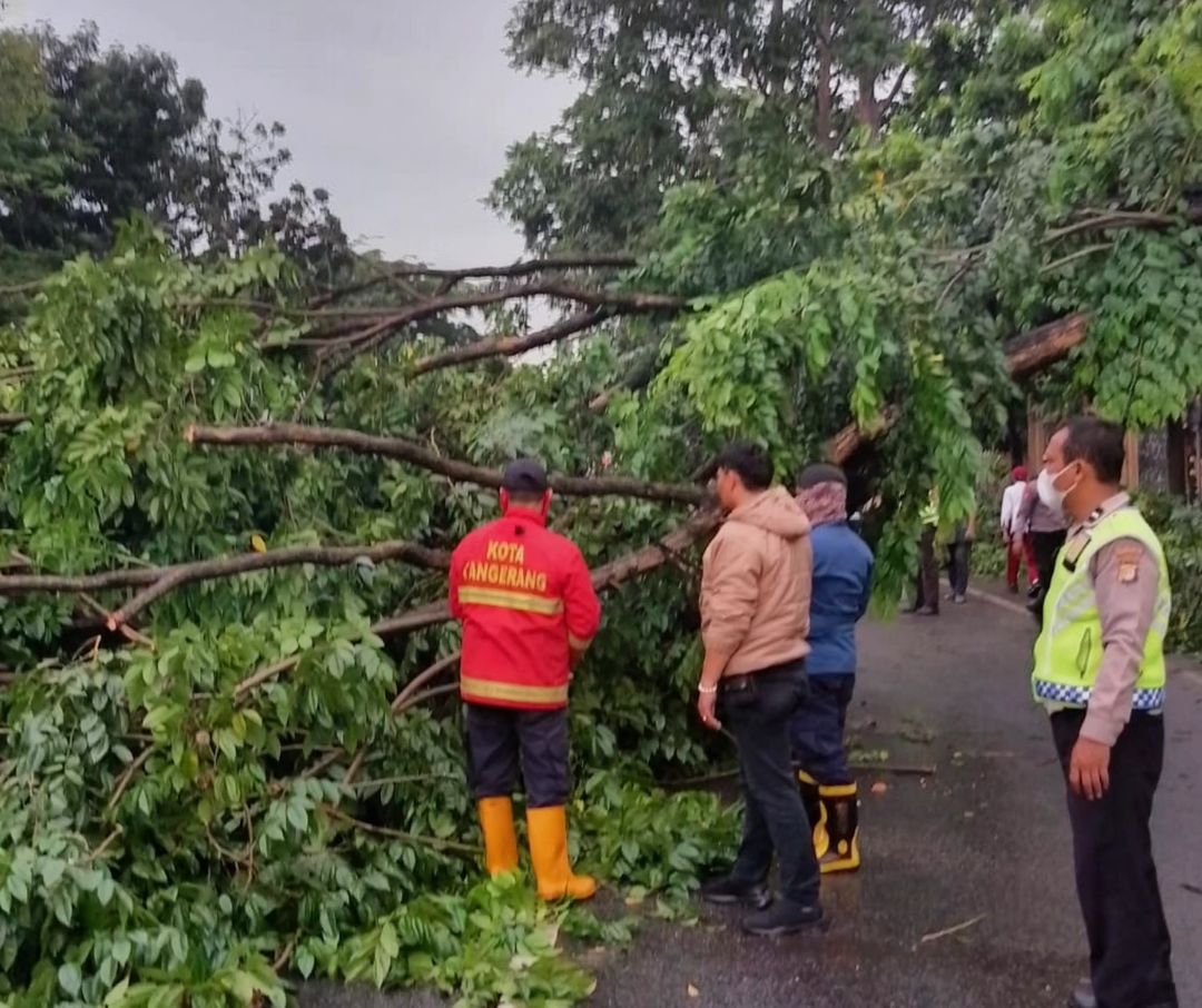 Pemkot Tangerang Siap Ganti Rugi Kerusakan Mobil akibat Pohon Tumbang di Jalan Protokol