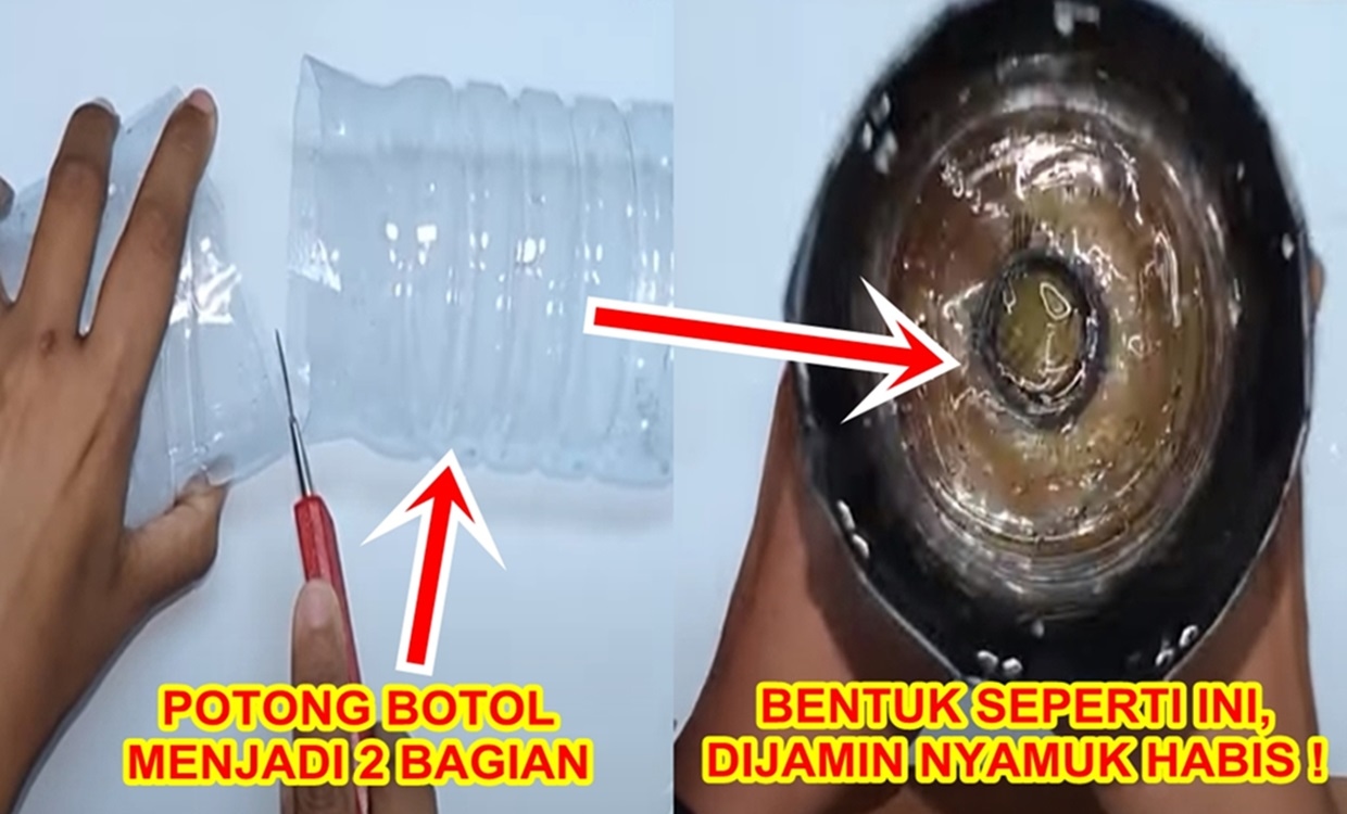 Ide Cerdas : Nyamuk Habis! Pakai Perangkap Buatan Sendiri Dengan Modal Botol Bekas, Tidur Serasa Di Dunia Maya