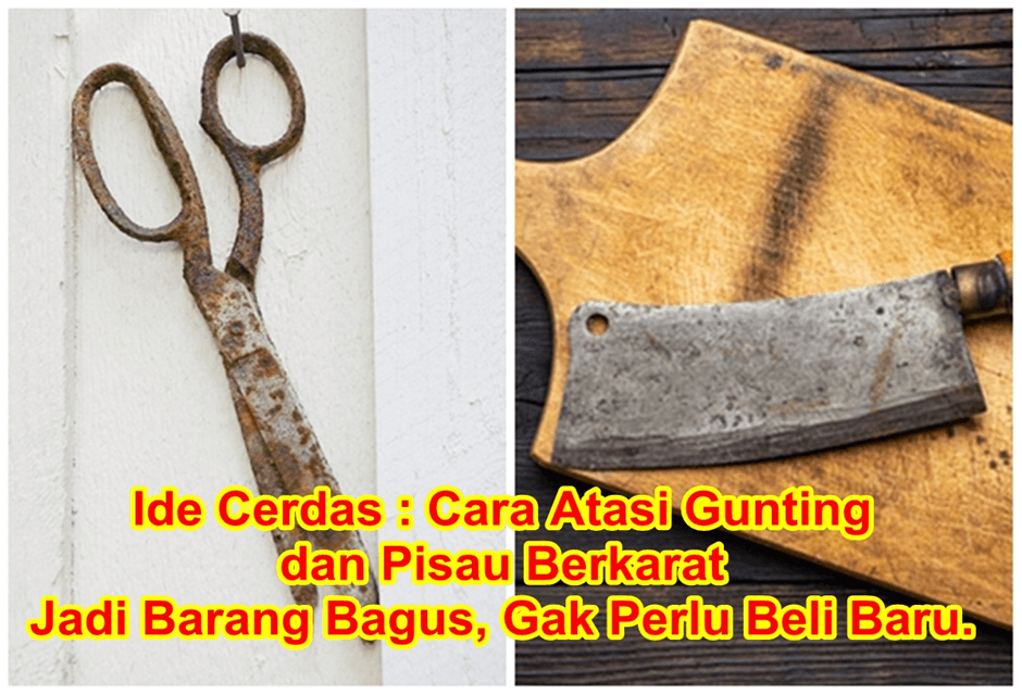 Ide Cerdas : Cara Atasi Gunting dan Pisau Berkarat Jadi Barang Bagus, Gak Perlu Beli Baru. Gampang Banget