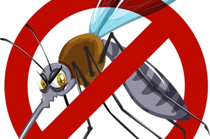 Mengenal Penyakit Malaria, Ini Penyebab, Gejala, dan Cara Mengobatinya!