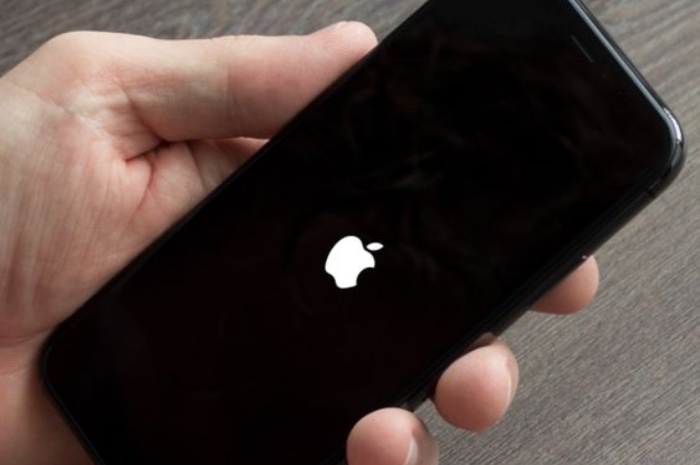 Tidak Usah Panik, Ini Cara Efektif Mengatasi iPhone Stuck di Logo Apple yang Sering Terjadi