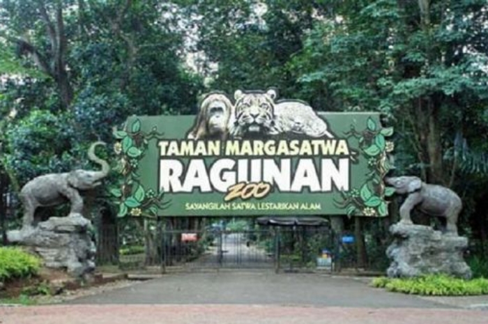 Taman Margasatwa Ragunan Tetap Buka saat Libur Idul Adha, Ini Jadwal Masuknya