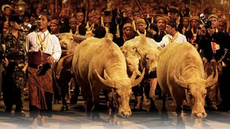 Makna Malam Satu Suro dalam Islam: Antara Sejarah, Filosofi, dan Tradisi