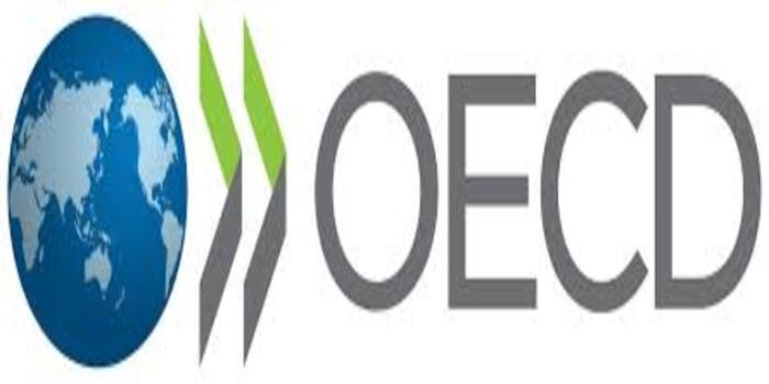 Jelang Aksesi OECD, CIPS Tekankan Pentingnya Reformasi Perlindungan Konsumen