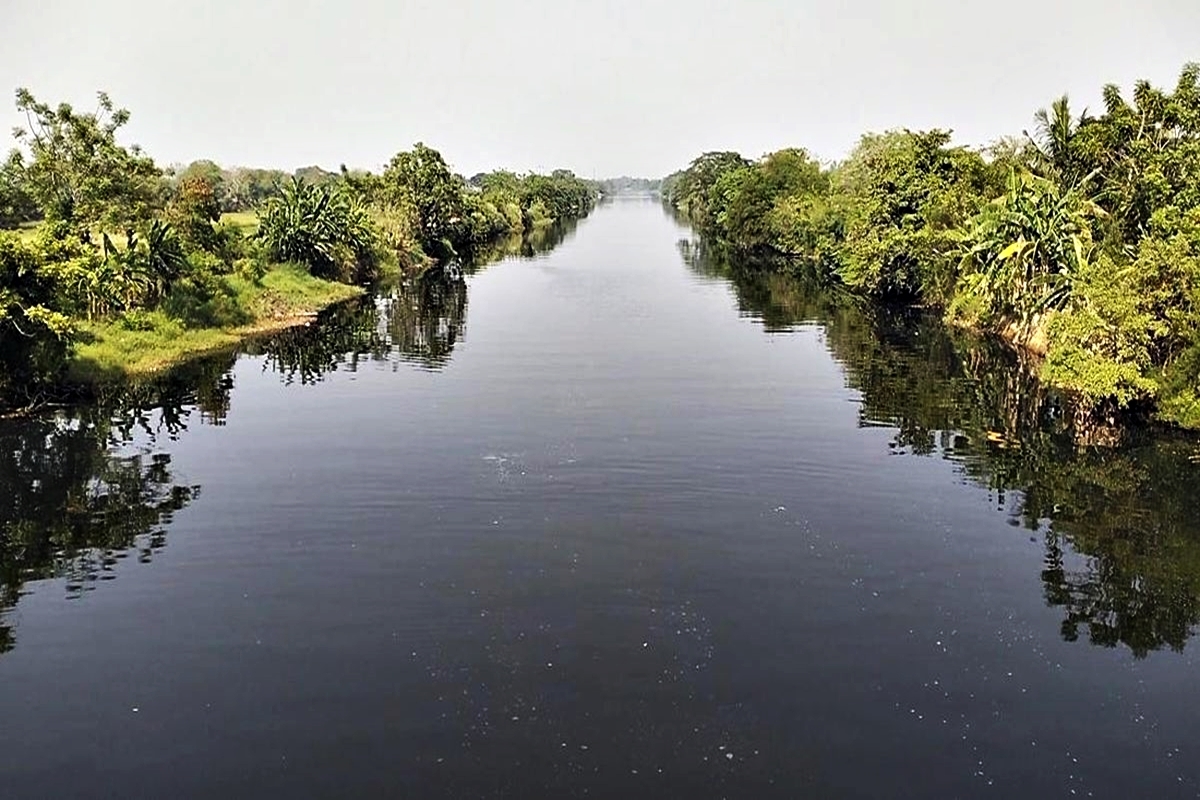 Fakta Mengejutkan dari BPBD Serang: Sungai Ciujung, Benarkah Habitat Buaya? Ini Yang Wajib Tahu!
