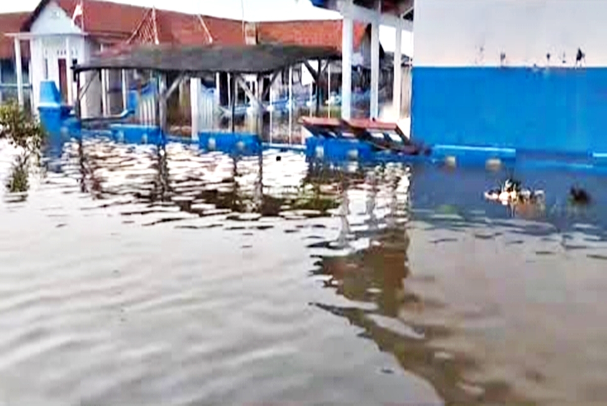 Nostalgia Blendung: Dari Surga Senja Legendaris Pemalang, Kini Terkikis Pilu Ditelan Rob