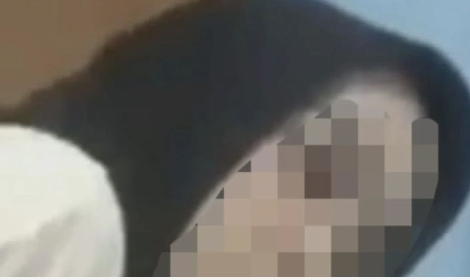 Misteri Seprei Bunga: Fakta di Balik Video Viral '13 Menit 17 Detik' KKN Lombok Timur yang Menghebohkan Jagat Maya!