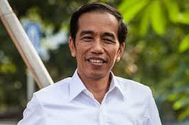 Bonjowi Ungkap Dugaan Kejanggalan Dokumen Ijazah Jokowi dari Pencalonan hingga Presiden