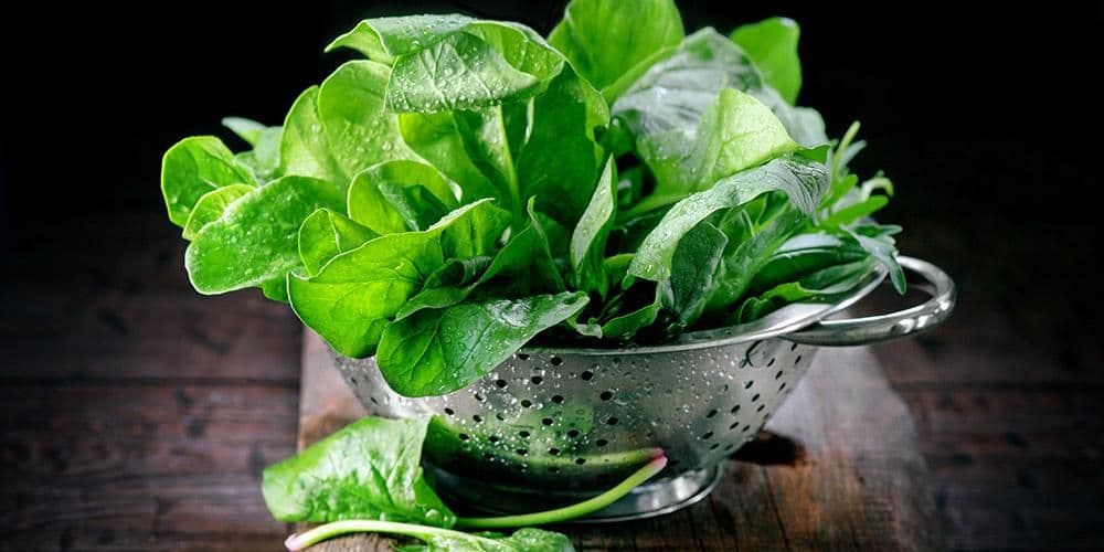 Ilustrasi Bayam (sehatq.com)