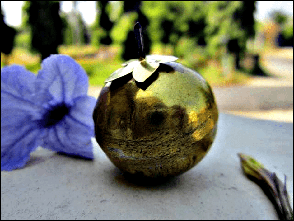 Ilustrasi apel jin. Foto: Istimewa 