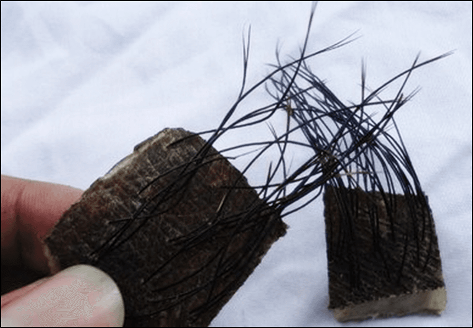 Jimat. Foto: Istimewa