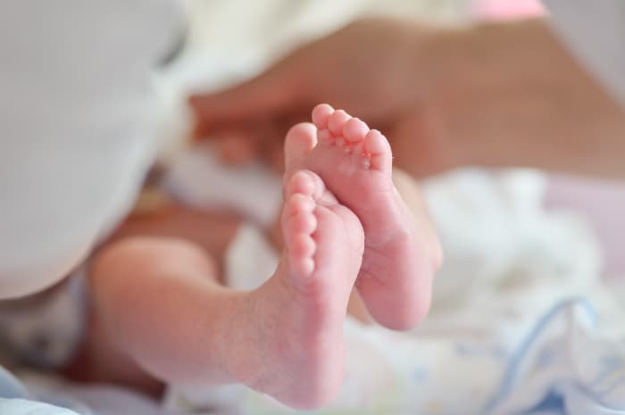 Diduga Hasil Hubungan Gelap, Oknum Kepala Sekolah Telantarkan Bayi di Kebumen