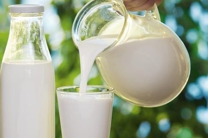 Kurangi Minum Susu Campur Madu! Ini Efek Sampingnya yang Jarang Diketahui