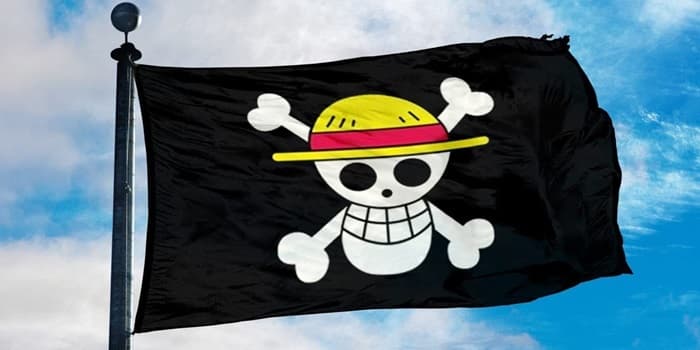 Bukan Simbol Perlawanan, Ternyata Ini Alasan Bendera One Piece Berkibar Jelang HUT RI ke 80