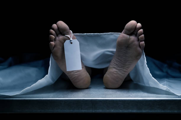 Mayat dalam Freezer Gegerkan Bekasi, Polisi Tangkap Dua Terduga Pelaku Pembunuhan Sadis