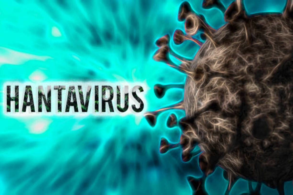 Waspada Hantavirus di Jakarta, Dinkes Catat 3 Kasus Positif dan 6 Suspek Masih Dipantau