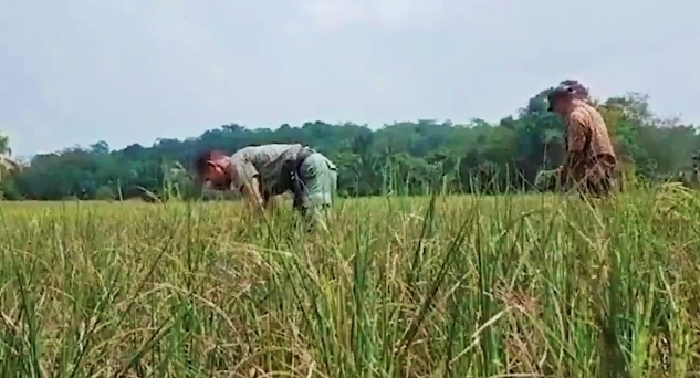 Pemerintah Hapus Izin 190 Kios Pupuk Nakal Usai Harga Turun, Mentan: Tak Ada Ampun untuk yang Rugikan Petani