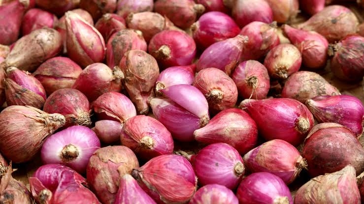 Upaya Penyelundupan 400 Karung Bawang Merah Digagalkan Bakamla di Perairan Batam