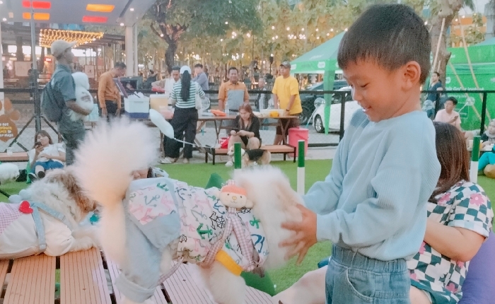 Ke Mall SMS Tangerang Kini Bisa Membawa Anjing Peliharaan, Ada Paws Dog Dream Park