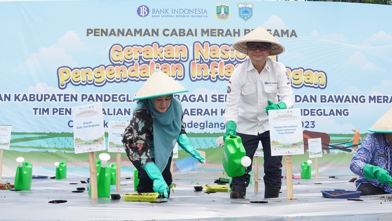 Cegah Inflasi, Pandeglang Dijadikan Sentra Bawang Merah dan Cabai