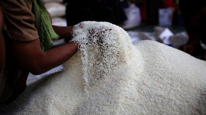 365 Hektare Lahan Padi di Pandeglang Gagal Panen, DPKP Pastikan Stok Beras Masih Aman