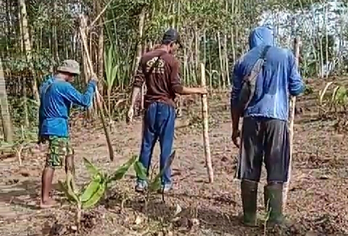 Lakukan 'Ngaseuk' Padi Huma, Warga Bejod Berharap Padinya Tumbuh Subur