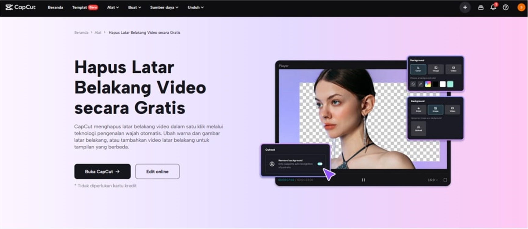 Wakili Seni Anda Dalam Perspektif Baru Dengan Editor Gambar/Video Online CapCut