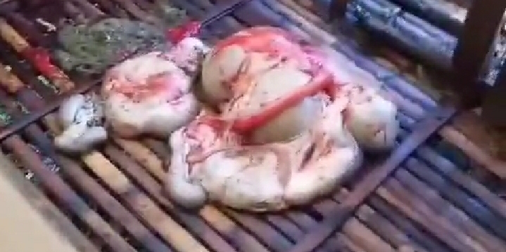 Jelang Tahun Baru, 26 Ekor Kambing di Lebak di Gasak Maling Hanya Menyisakan Jeroan di Kandang