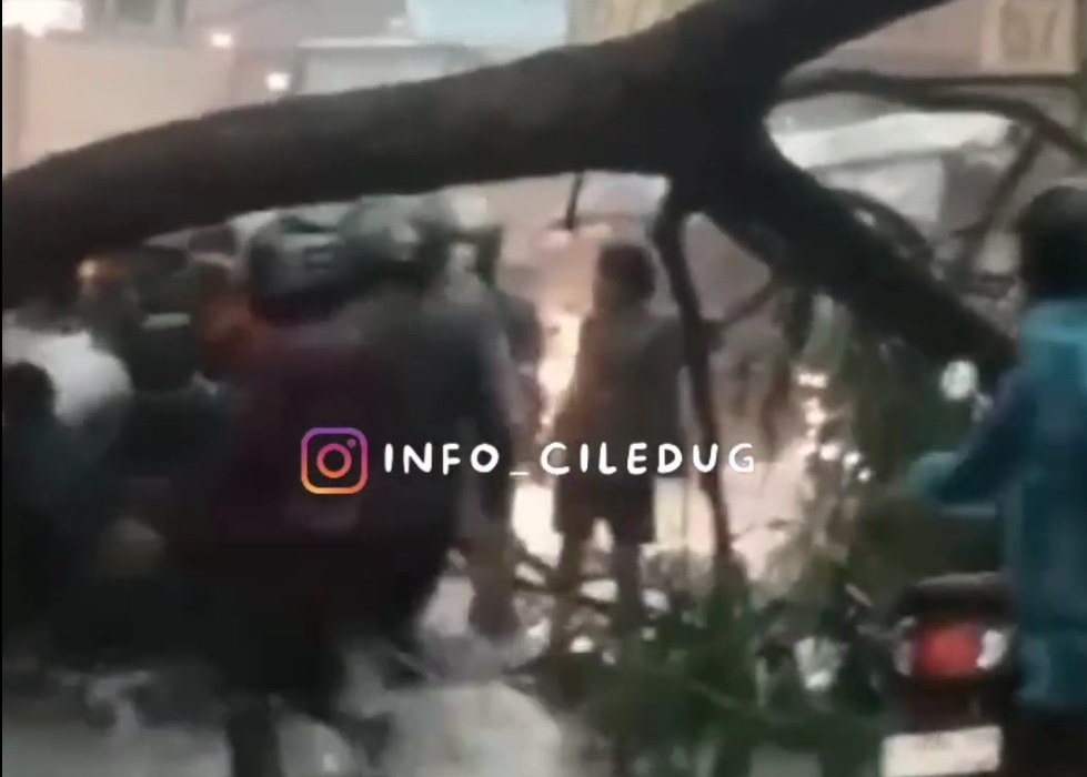 Pengendara Tertimpa Pohon Tumbang di Jalan HOS Cokroaminoto Tangerang