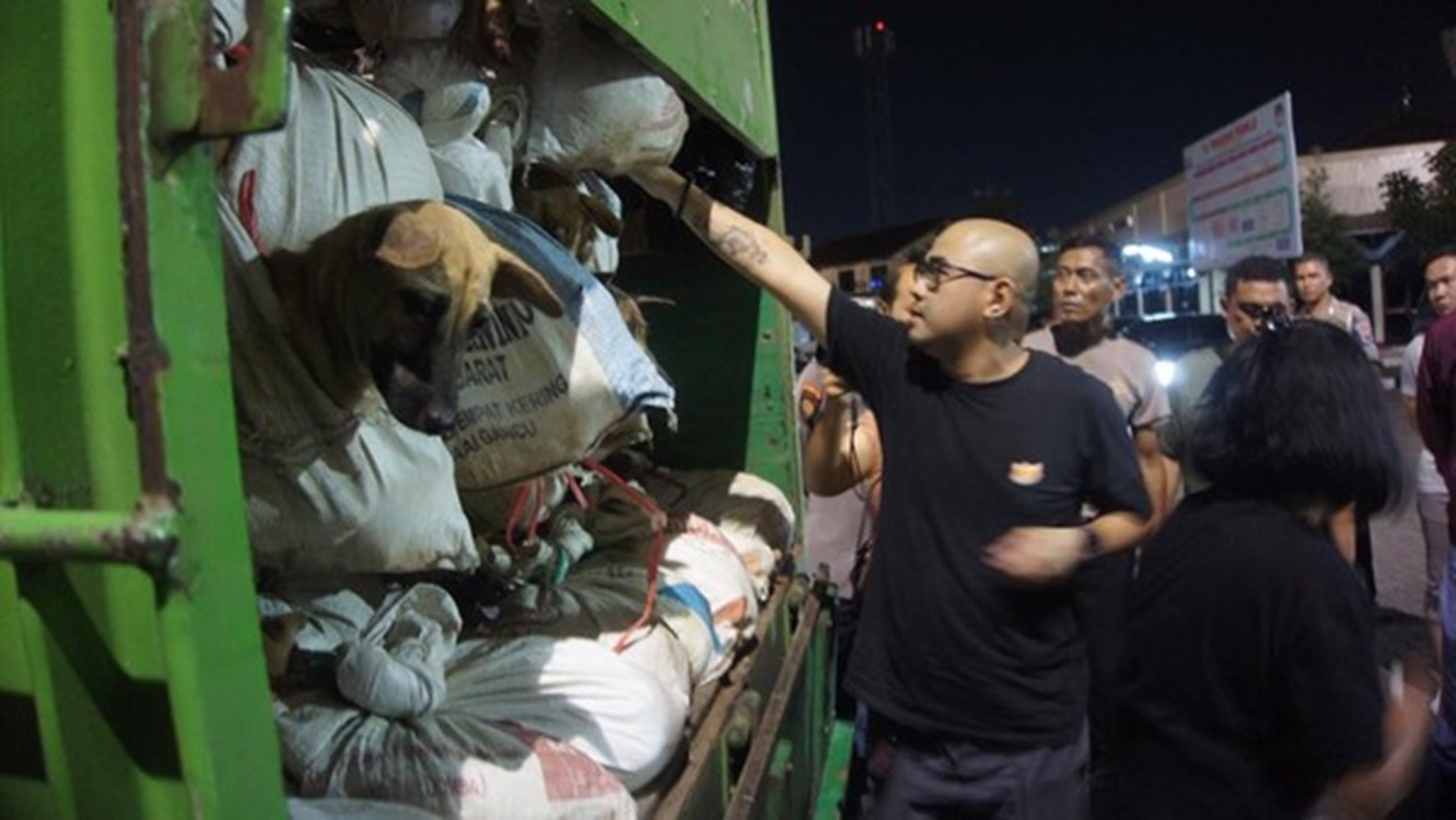 Terungkap Truk Pembawa 226 Ekor Anjing, Ternyata Untuk Daging Olahan Dan Dijual Rp40.000 Per Kilogram