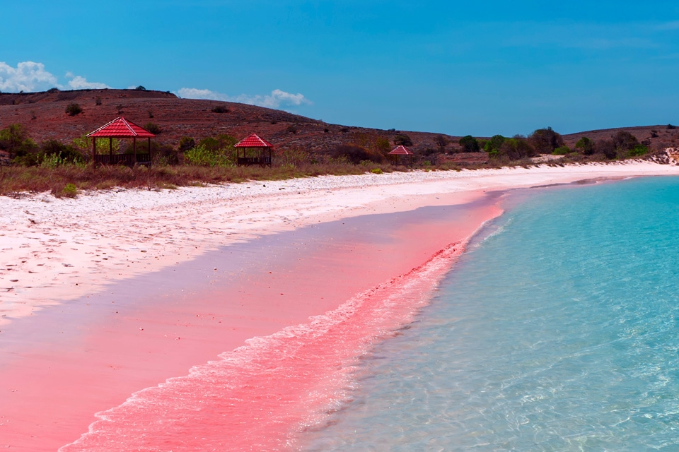 Destinasi Wisata Pantai Pink Lambu Dan Uniknya Pantai Lariti di Bima Yang Mulai Mendunia