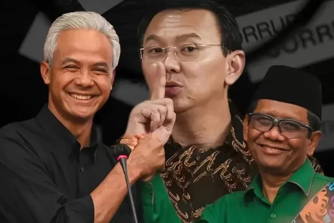 TKN Prabowo-Gibran, Menilai Psikologis Ahok Sedang Tertekan Terkait Pernyataannya: Takut Jokowi Tertipu Prabowo