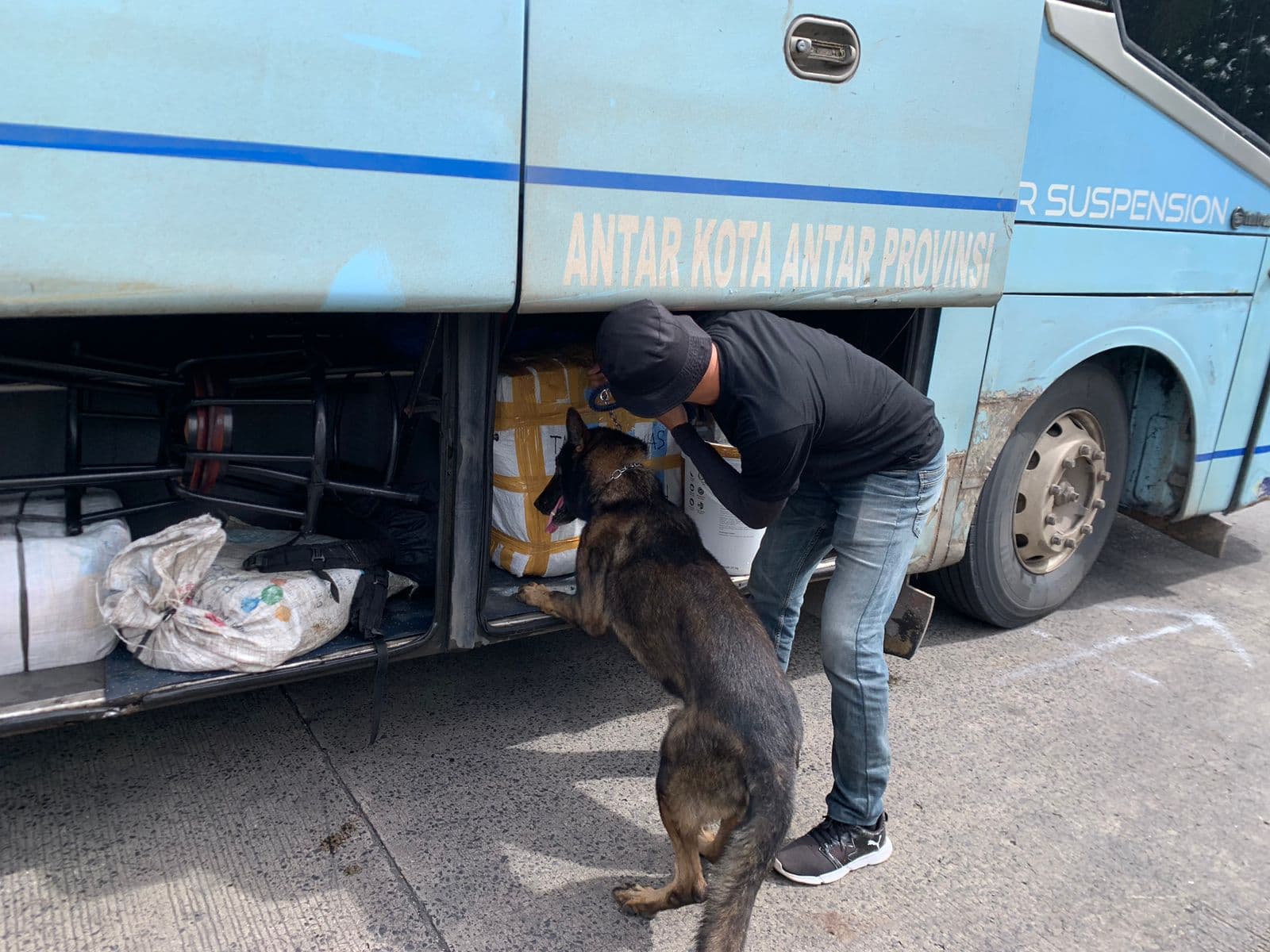 6 Anjing K9 Bantu Lacak Peredaran Narkoba di Pelabuhan Bakauheni, Ini Hasilnya