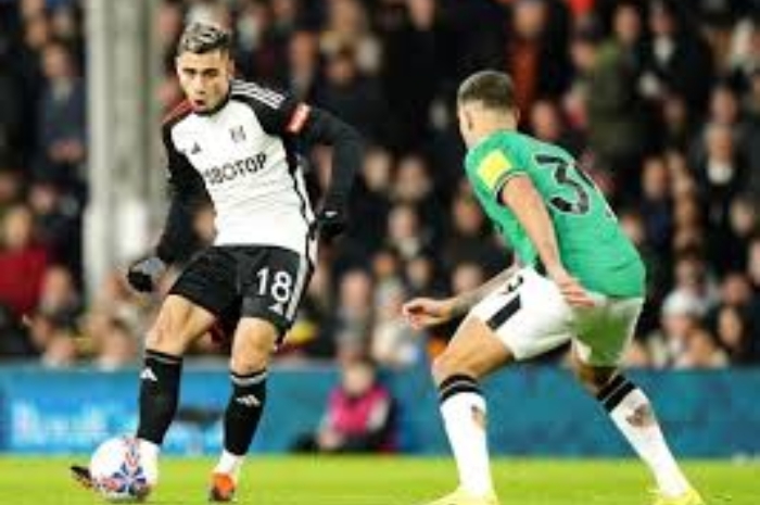Prediksi skor dan Berita Pemain Fulham vs Newcastle United Liga Premier Inggris Pekan ke-32, Siapakah yang Akan Menjadi Pemenang?