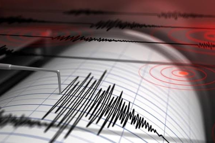 Gempa Magnitudo 4,9 Guncang Cilacap, Getaran Diperkirakan Sampai ke Pangandaran