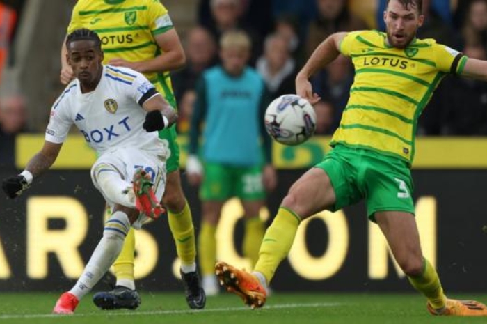 Prediksi Jitu dan Jadwal Pertandingan Leeds United vs Norwich City di Semi Final Play Off Liga Championship