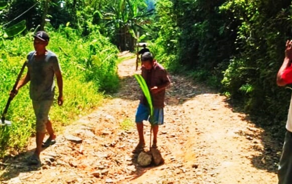 Pemdes Ingkar Janji, Warga Protes, Jalan Poros Desa Muncangkopong Ditanami Pohon Pisang dan Kelapa