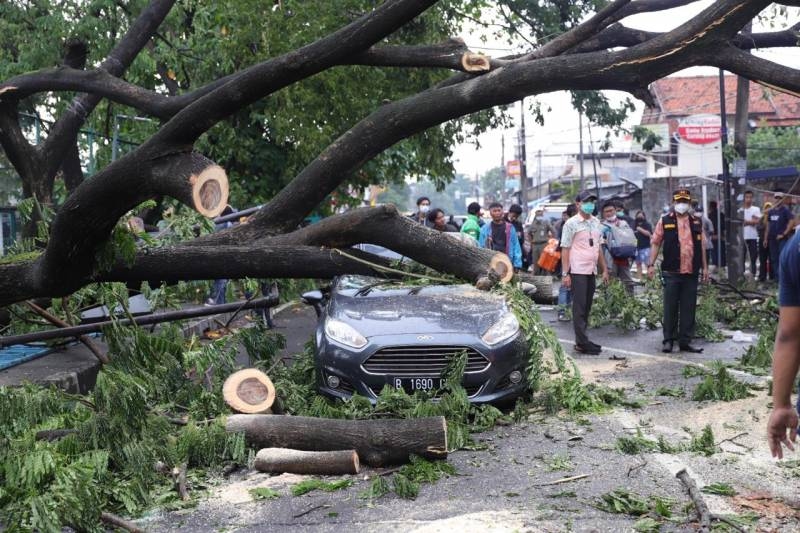 Pemkot Tangerang Siapkan Posko Klaim Asuransi Pohon Tumbang Bagi Korban