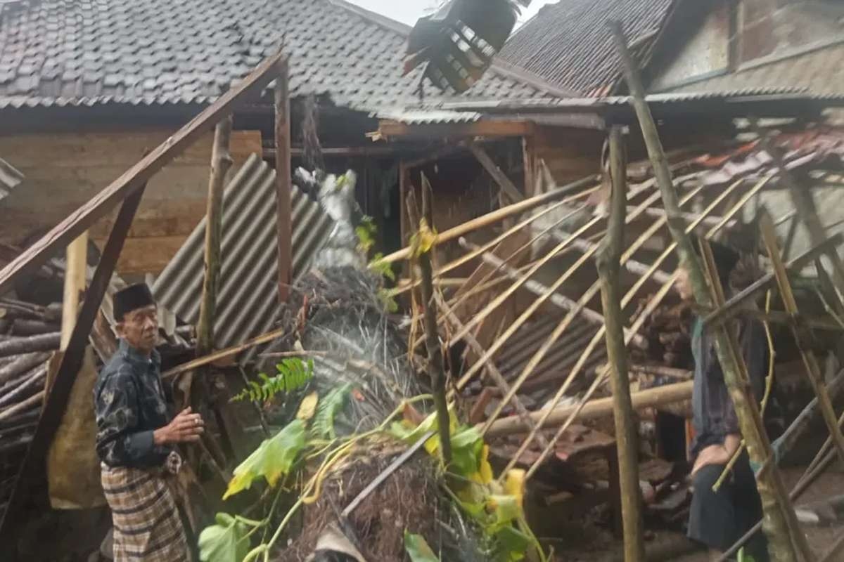 Pohon Aren Tua Tumbang, Renggut Satu Nyawa di Cimanggu Pandeglang
