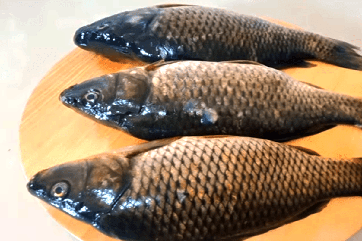 Bukan Pakai Pisau, Aman Bersihkan Sisik Ikan Mas Cuma Dengan Satu Jenis Sayuran